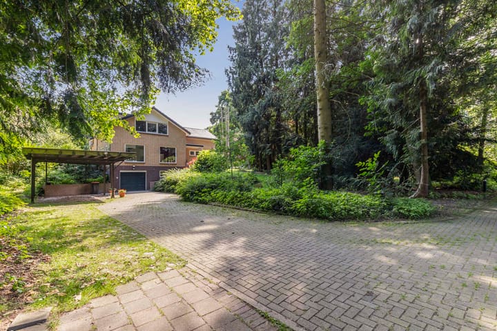 Photo 4 of Wolvenbos 9