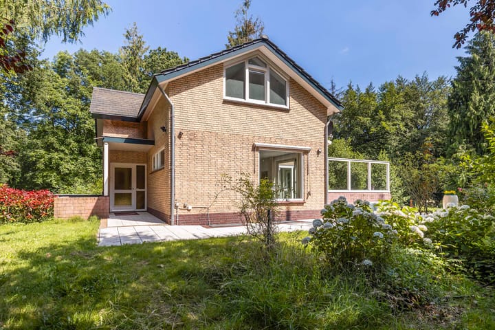 Foto 5 van Wolvenbos 9