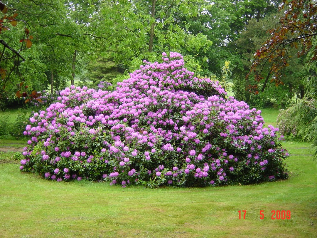 Photo 26 of Wolvenbos 9