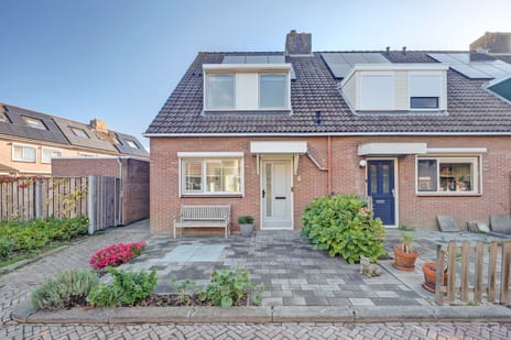 Zeehondenplaat thumbnail