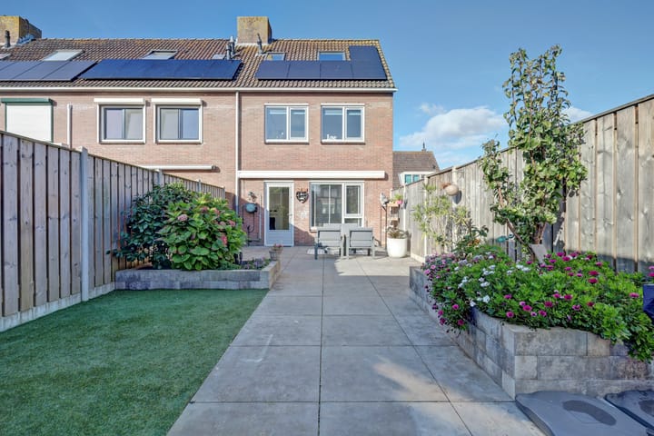 Foto 2 van Zeehondenplaat 1