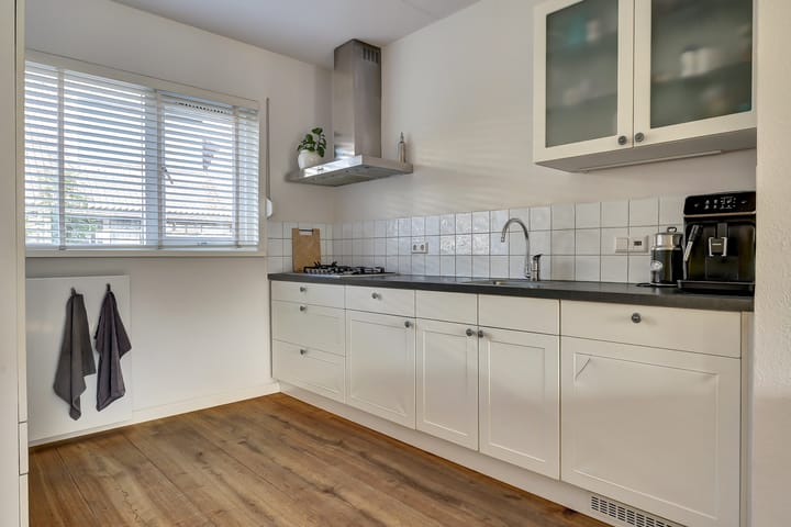 Foto 9 van Zeehondenplaat 1