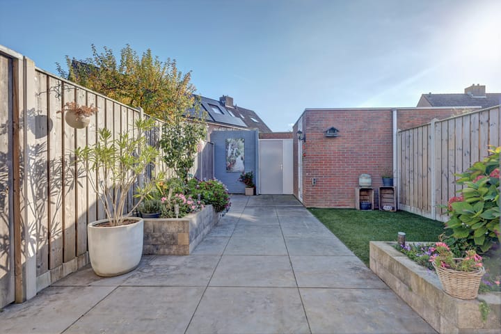 Foto 23 van Zeehondenplaat 1