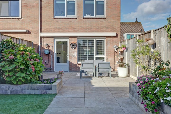 Foto 25 van Zeehondenplaat 1