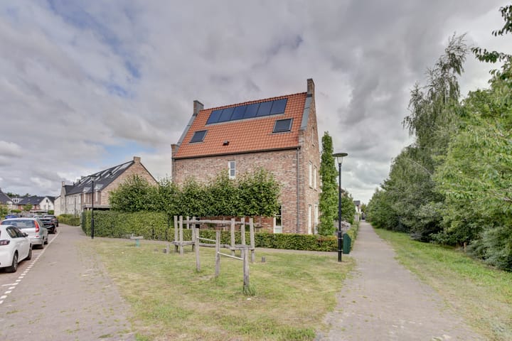 Foto 5 van Dotterbloempad 1