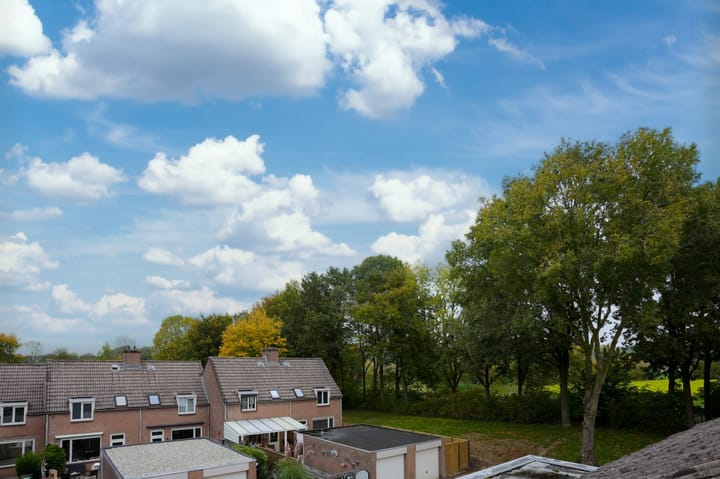 Foto 2 van Burgemeester Van Laarstraat 13