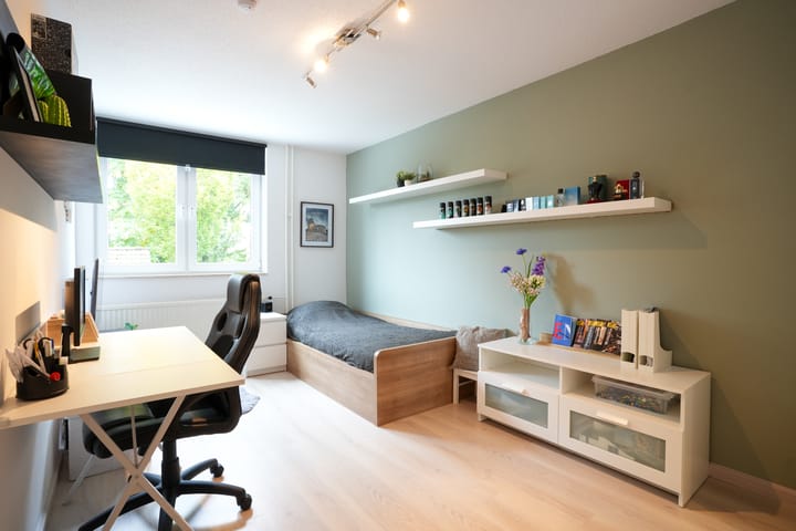 Foto 19 van Burgemeester Van Laarstraat 13