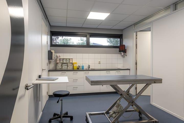 Foto 39 van Oer de Feart 161