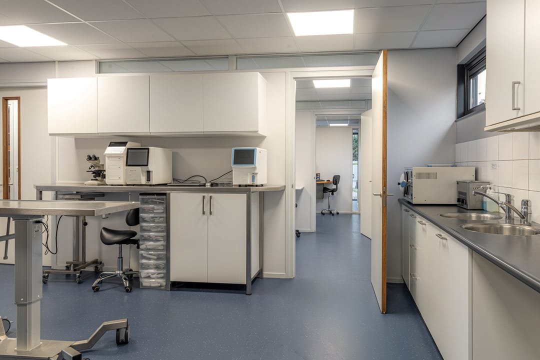 Foto 43 van Oer de Feart 161