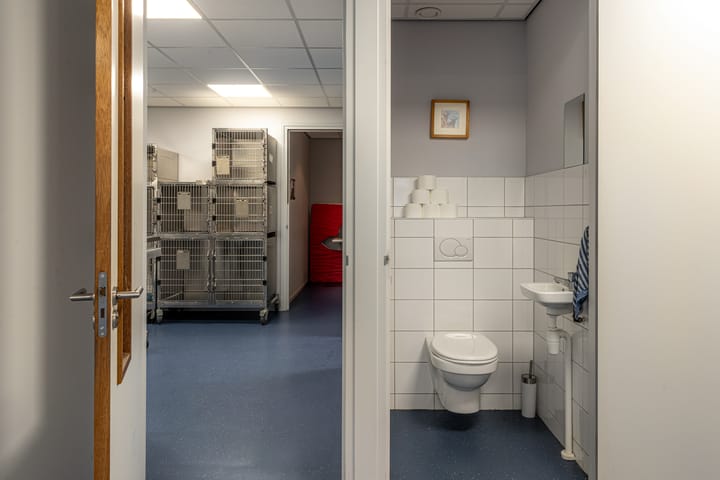 Foto 45 van Oer de Feart 161