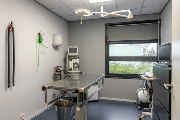 Foto 41 van Oer de Feart 161