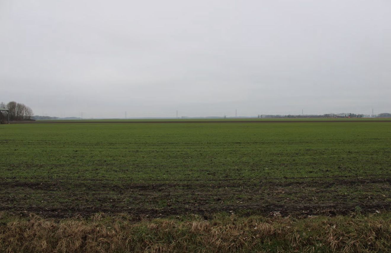 Foto 9 van Hamrikkerweg