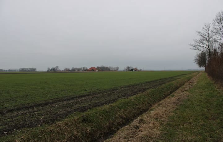 Photo 10 of Hamrikkerweg