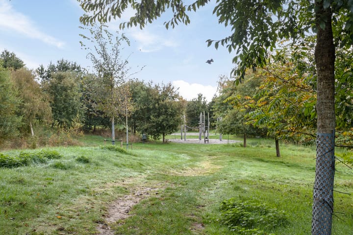 Foto 25 van Alexialaan 6