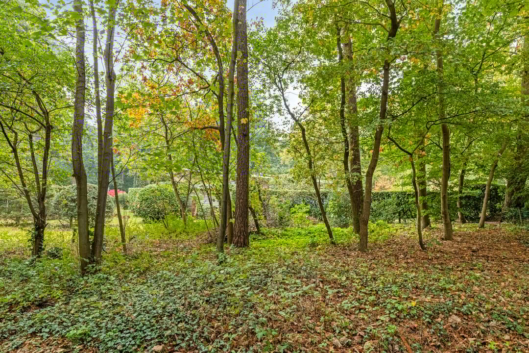 Photo 8 of Bremstraat 16