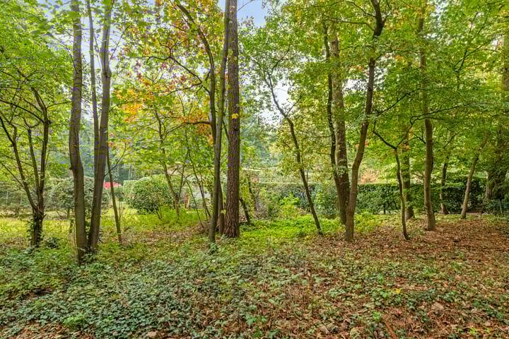 Foto 8 van Bremstraat 16