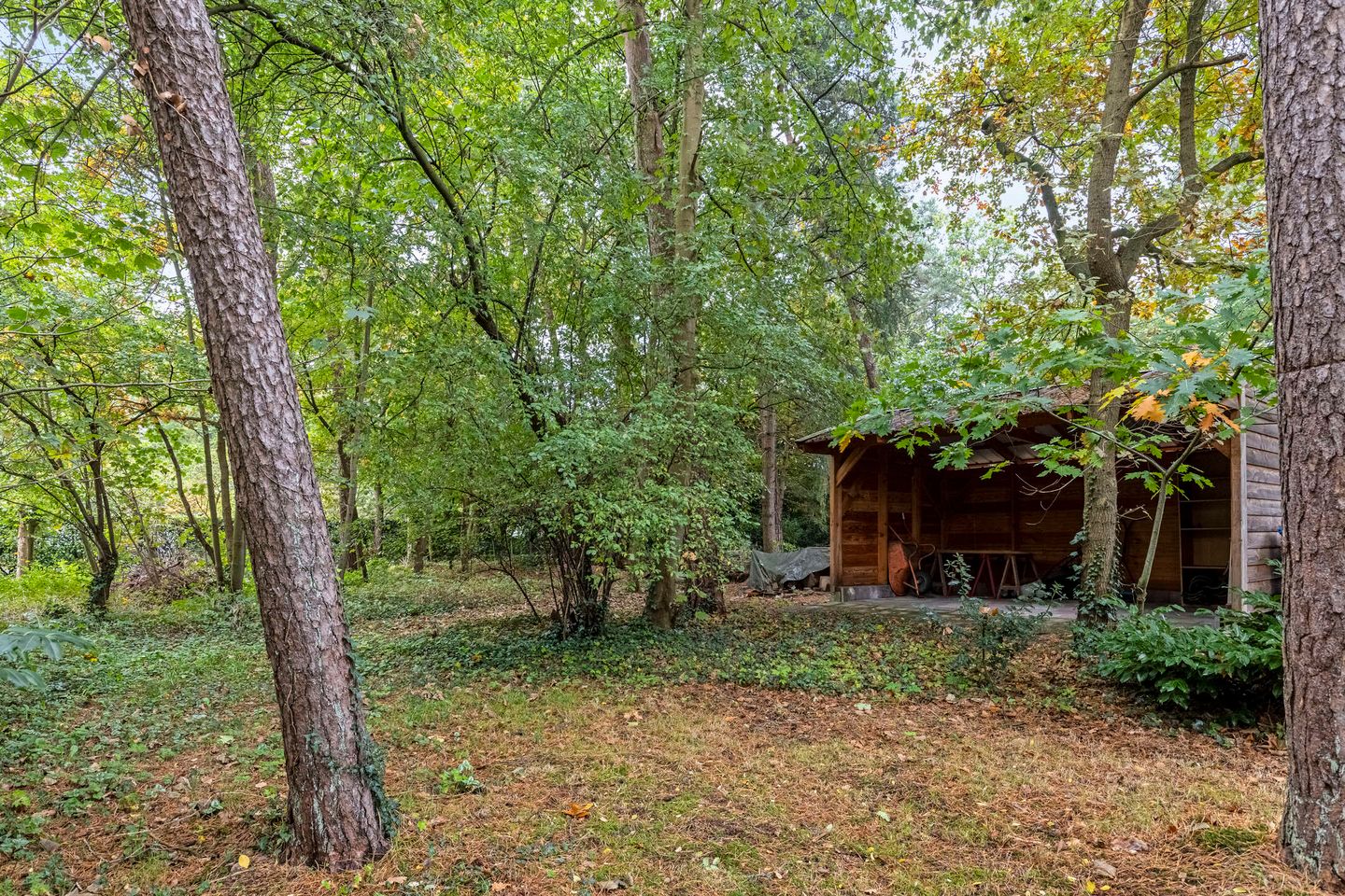 Photo 10 of Bremstraat 16