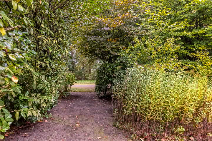 Foto 53 van Bremstraat 16