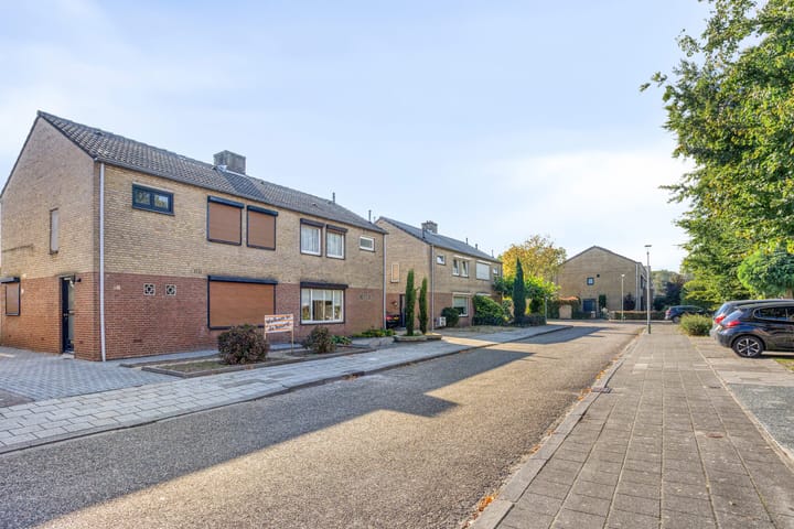 Foto 41 van Rogbloempad 6