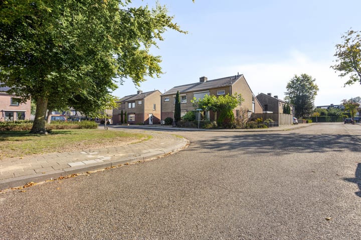 Foto 44 van Rogbloempad 6