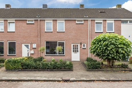 undefined main image