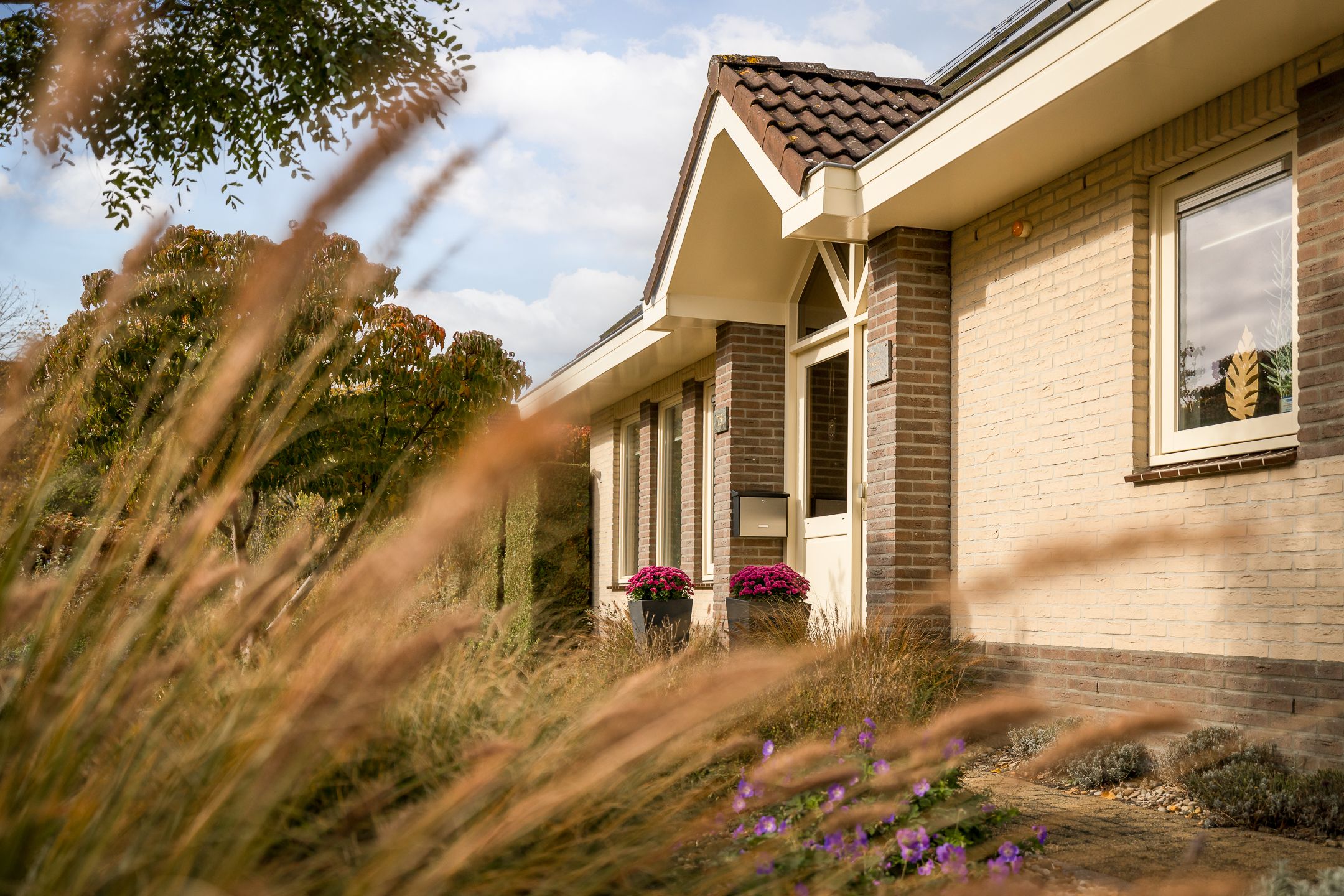 Foto 45 van Zuiderwoid 75