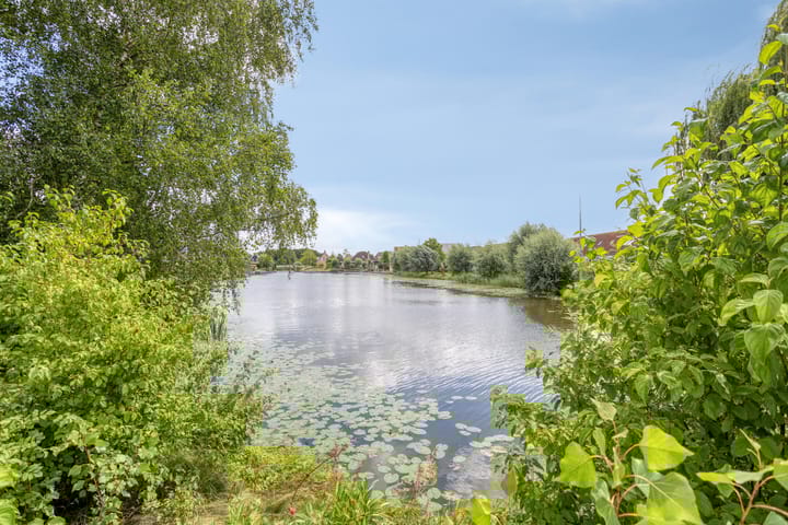 Foto 50 van Zuiderwoid 75