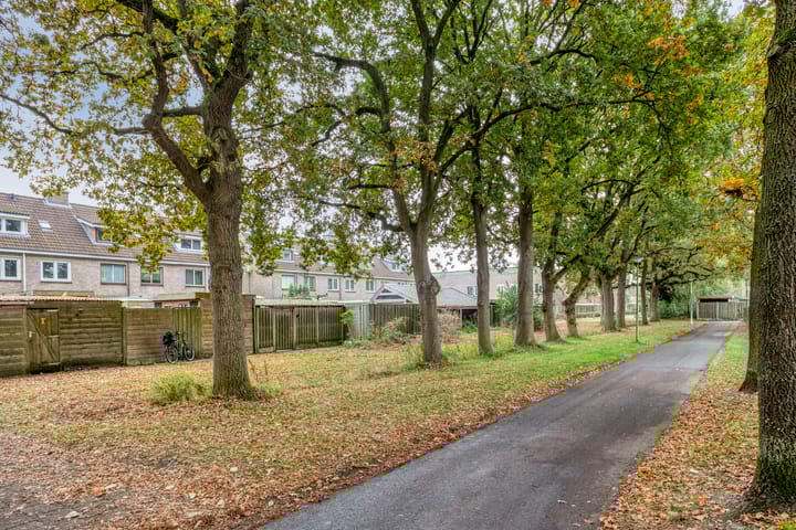 Foto 29 van De Koperwiek 30