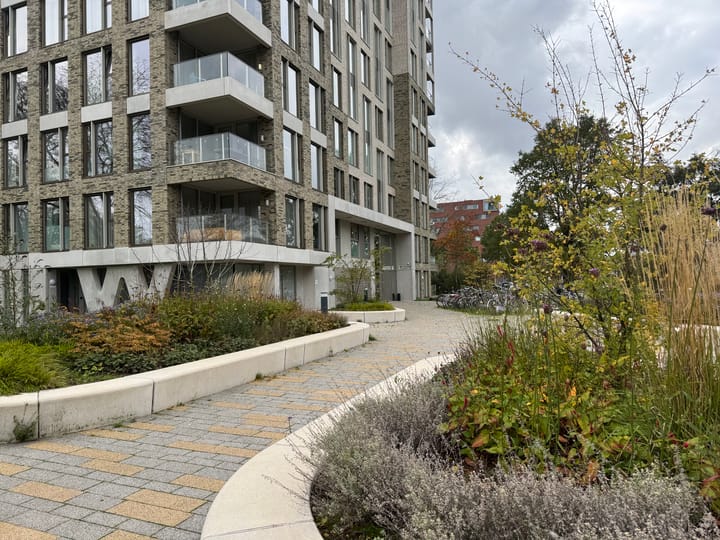 Foto 6 van Aalscholverpad 127