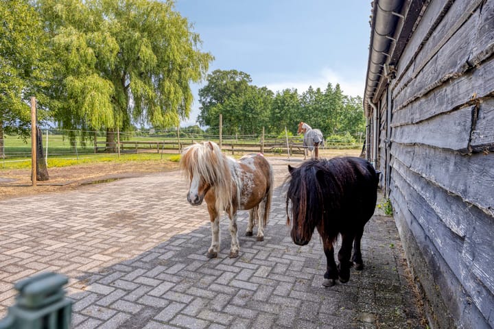 Photo 59 of Slaagseweg 10