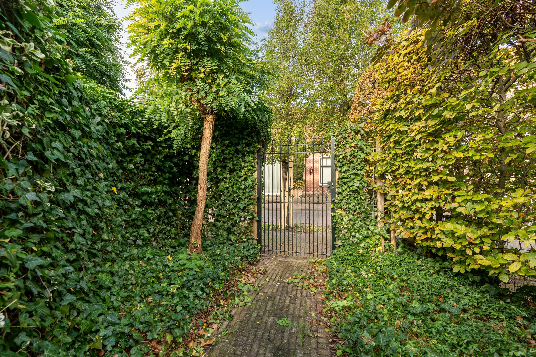 Photo 18 of Ouddiemerlaan 160