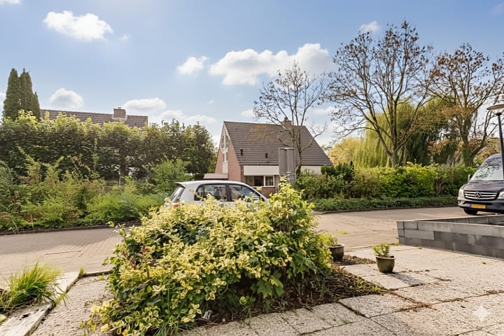 Foto 40 van Hooiklamp 7