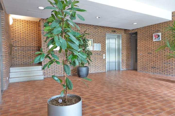 Foto 6 van Glenn Millerpad 27