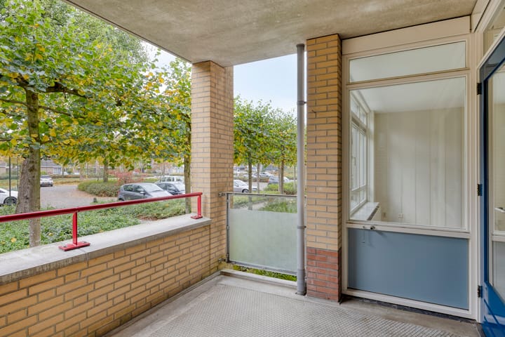 Foto 17 van Dorpsveld 29