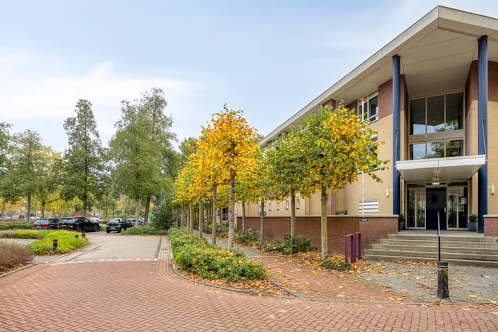 Foto 23 van Dorpsveld 29