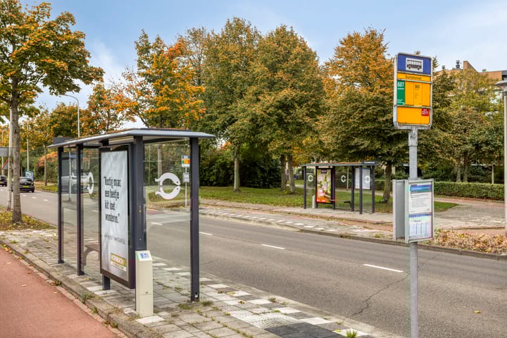 Foto 35 van Paganinistraat 99