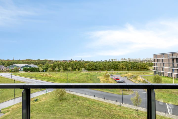 Foto 2 van Koolmeesstraat 13