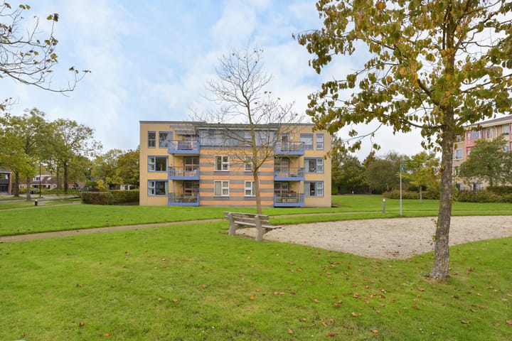 Foto 29 van Kamerlingh Onneslaan 135-D