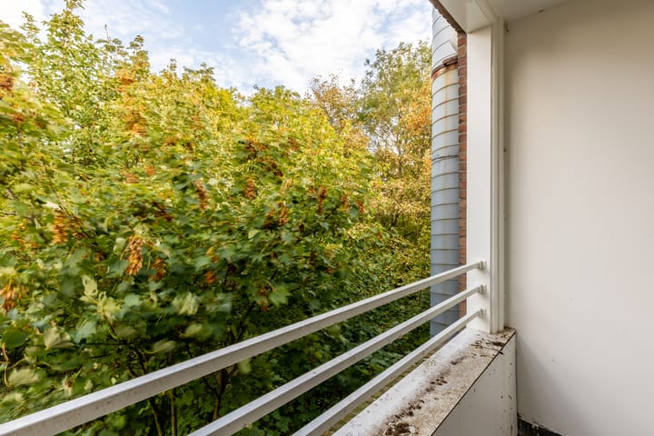 Foto 8 van Vierambachtsstraat 149-B03