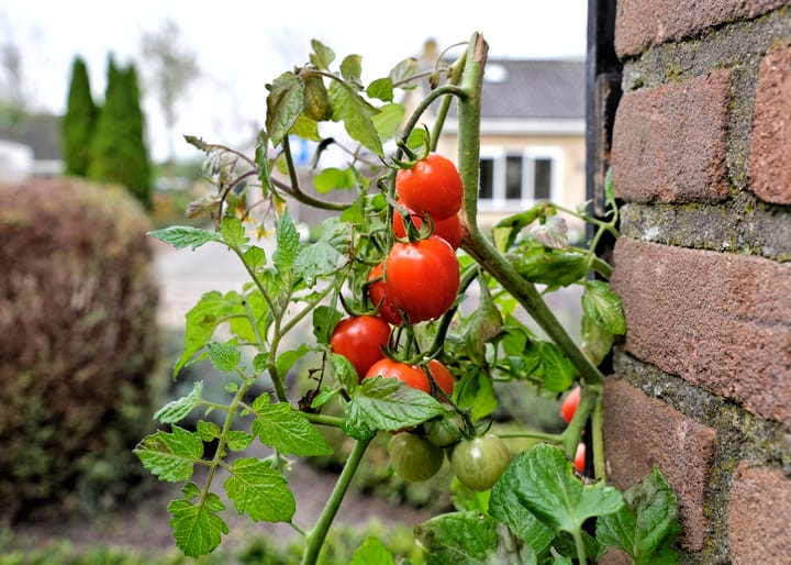 Foto 9 van Dr. Harm Smeengestraat 33