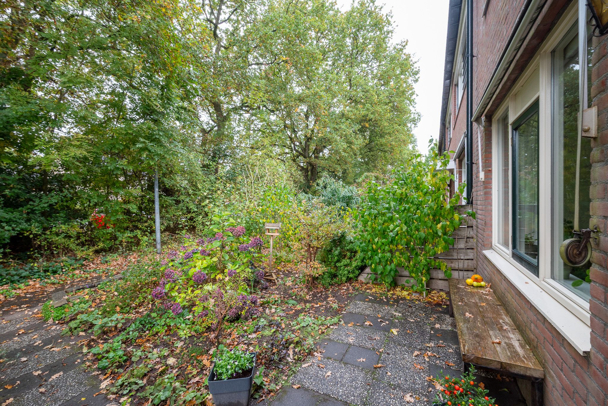 Photo 12 of Kamperfoelieweg 10