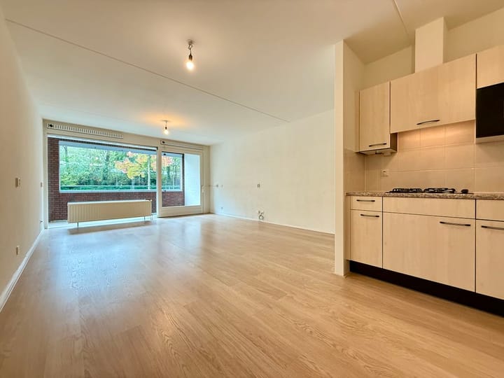 Foto 2 van Laan van Europa 333