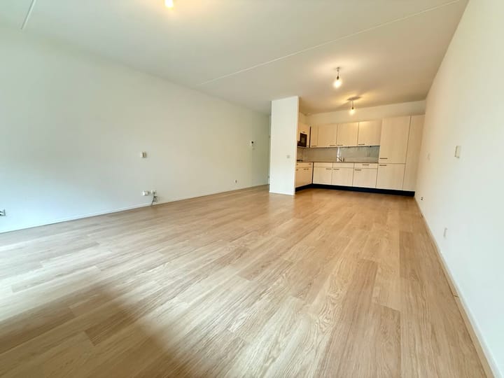 Foto 3 van Laan van Europa 333