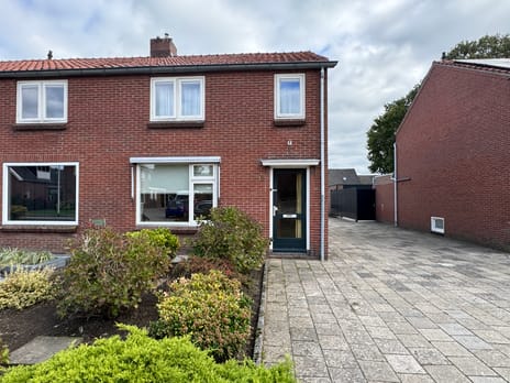 undefined main image