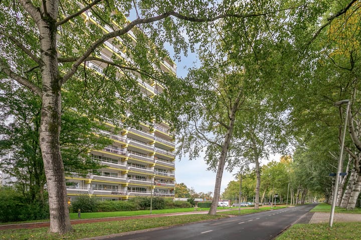 Foto 20 van Burgemeester D. Kooimanweg 303