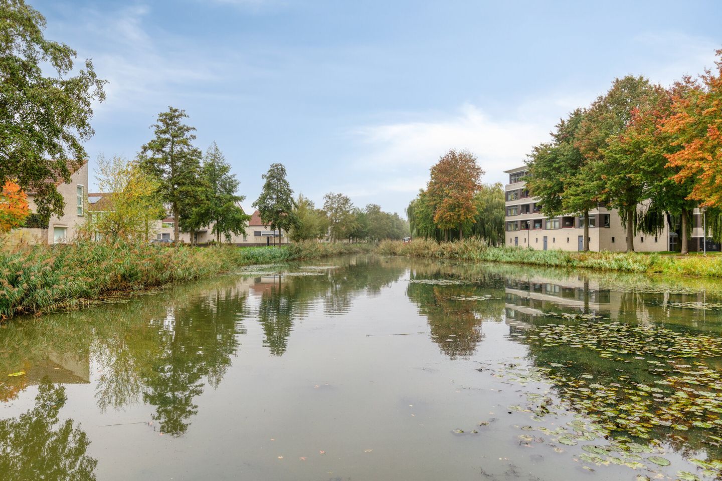 Foto 35 van Pastoor Hoekx-singel 139