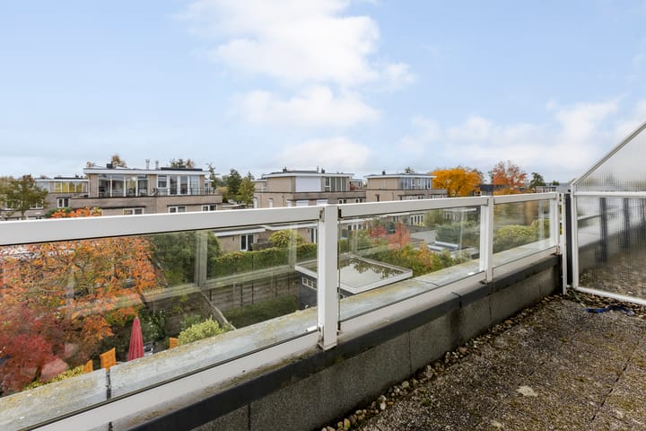 Foto 35 van Lamsoor 36