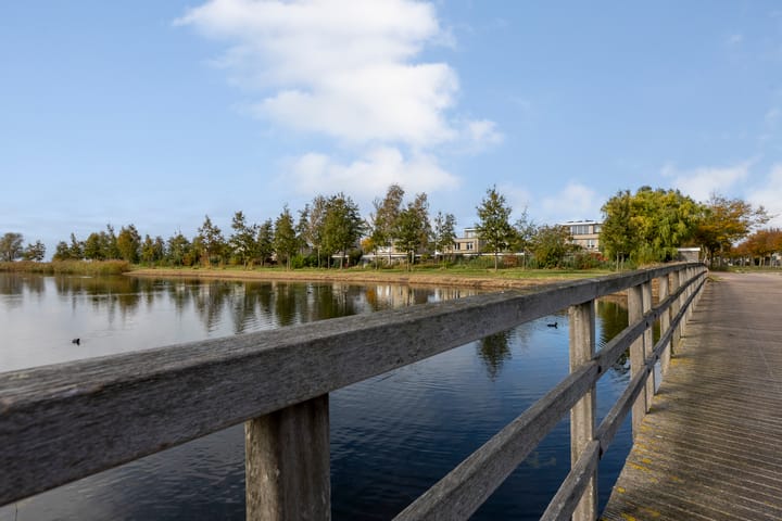 Foto 56 van Lamsoor 36