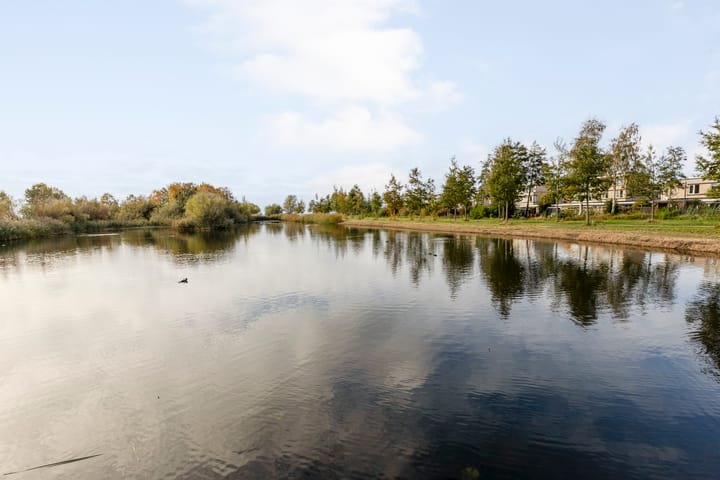 Foto 57 van Lamsoor 36