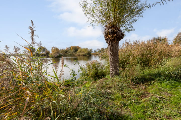 Foto 59 van Lamsoor 36